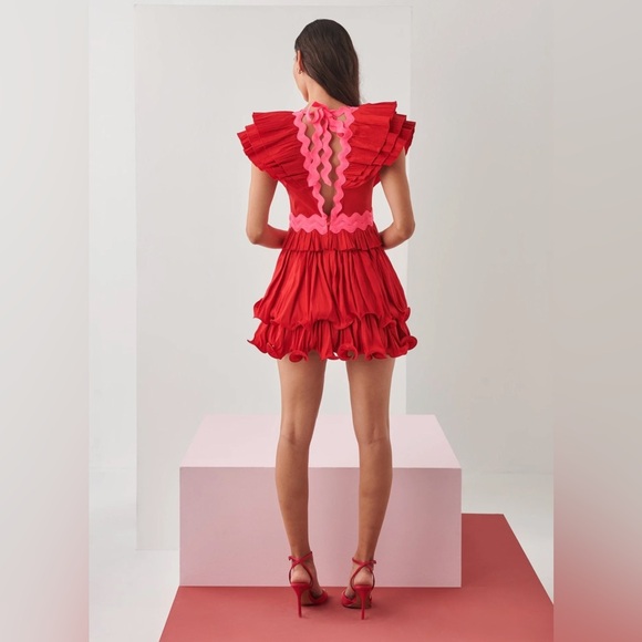 Red and Pink Ruffled Women's Dress - Picture 2 of 11